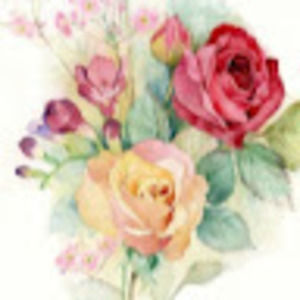 Meet your Posher, Annie